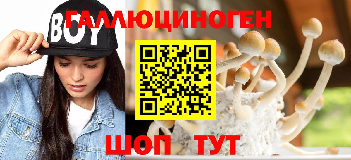 Нягань  Галлюциногенные грибы Magic Shrooms  Вход с VPN 